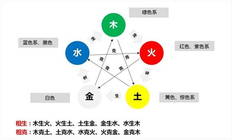 五行 植物